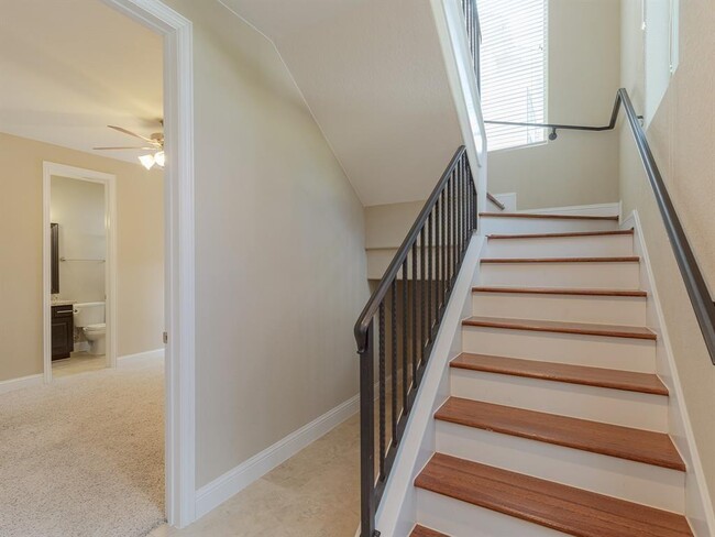 1608 Knox St in Houston, TX - Building Photo - Building Photo