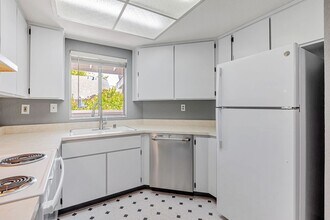 540 Shadowgraph Dr in San Jose, CA - Building Photo - Building Photo