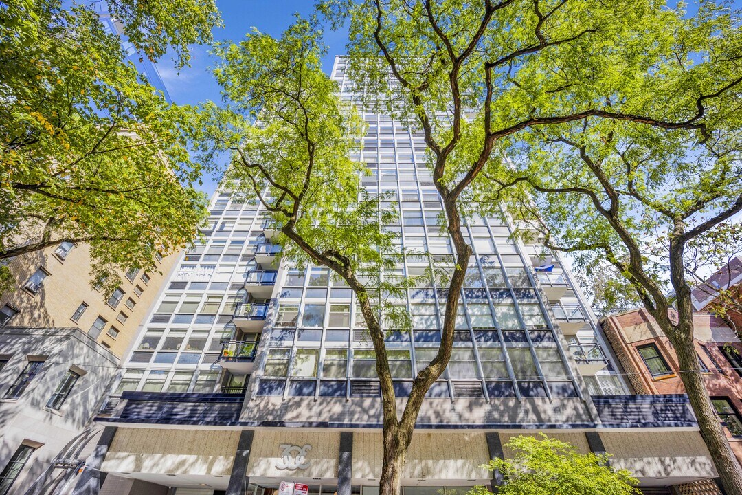 30 E Elm St, Unit 11B in Chicago, IL - Building Photo