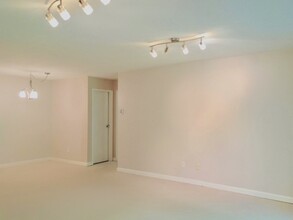 52 Village Brook Ln in Natick, MA - Building Photo - Building Photo