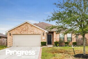 19207 Silver Dapple Dr in Porter, TX - Building Photo