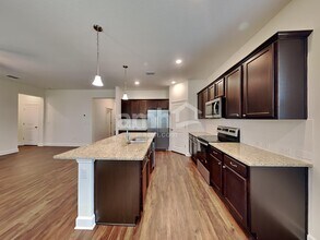 33829 Night Lily Dr in Zephyrhills, FL - Building Photo - Building Photo