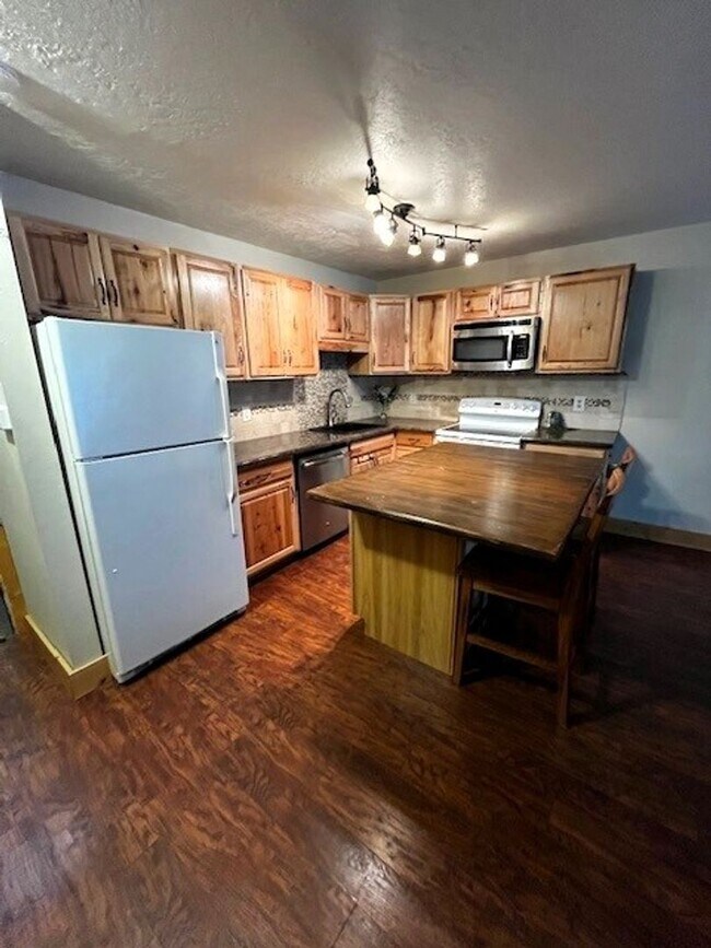 833 Straight Creek Dr in Dillon, CO - Building Photo - Building Photo