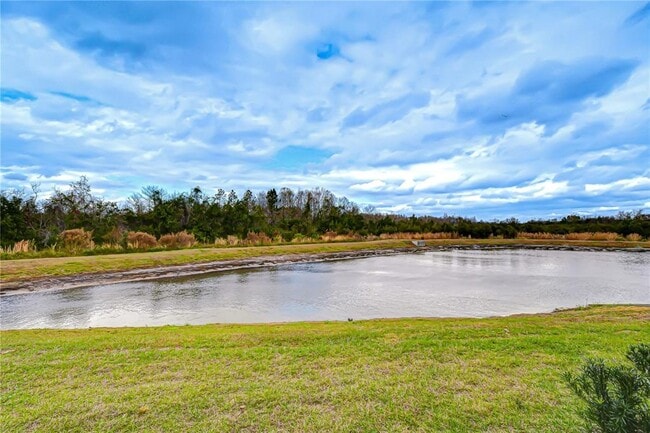 17485 Spanish Oak Lp in Land O Lakes, FL - Building Photo - Building Photo