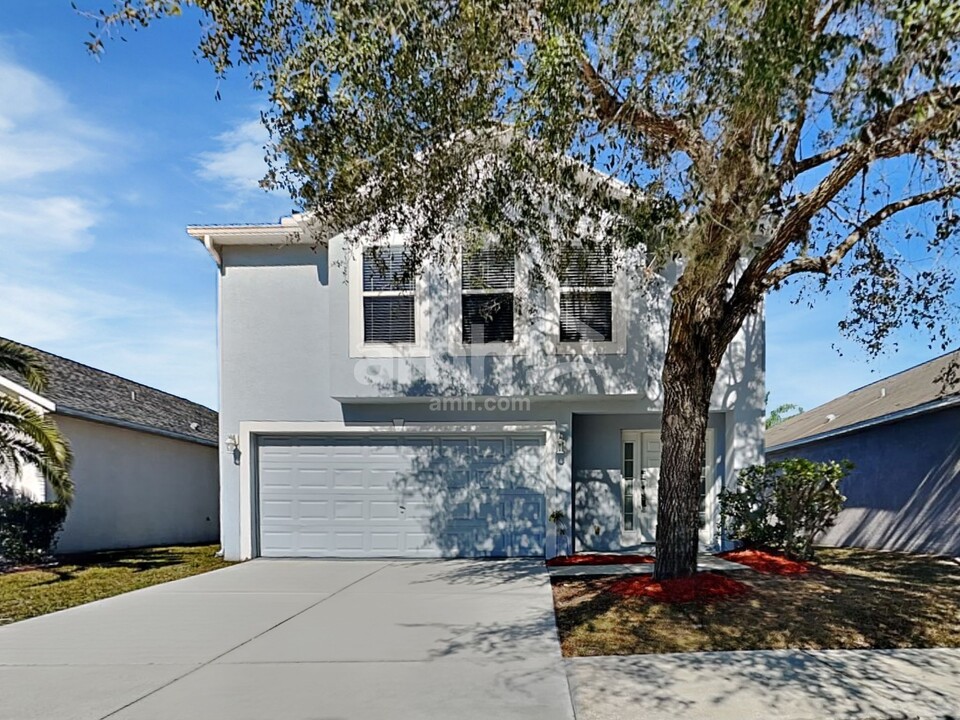 30401 Birdhouse Dr in Wesley Chapel, FL - Building Photo