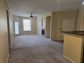1425 Blue Sky Cir in Erie, CO - Building Photo - Building Photo