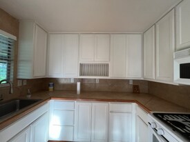 102 E Pecan St, Unit 1109 in Gunter, TX - Building Photo