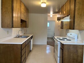 2509 Plumeria Ct in Ceres, CA - Building Photo - Building Photo