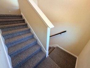 1001 Zodiac Ln in Round Rock, TX - Building Photo - Building Photo