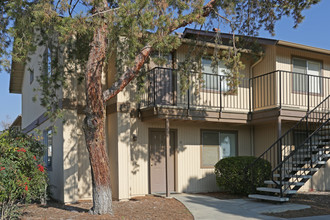 Willow Glen Apartments in Reedley, CA - Building Photo - Building Photo