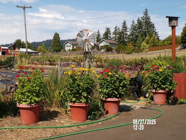 1689 Bullevard St in Philomath, OR - Building Photo - Building Photo