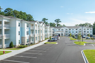 Residence at Canopy Pointe Apartments