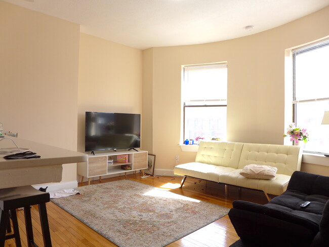 55 E Springfield St, Unit 3 in Boston, MA - Building Photo - Building Photo