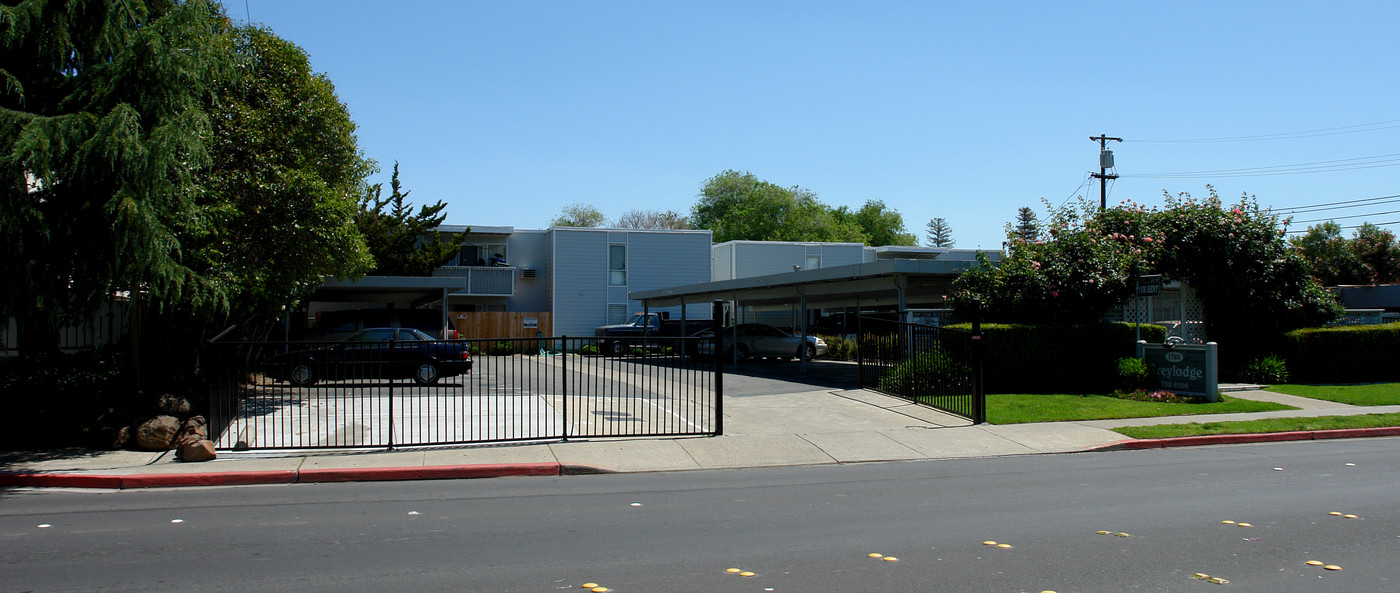 Clayton Pines Apartments in Concord, CA - Building Photo