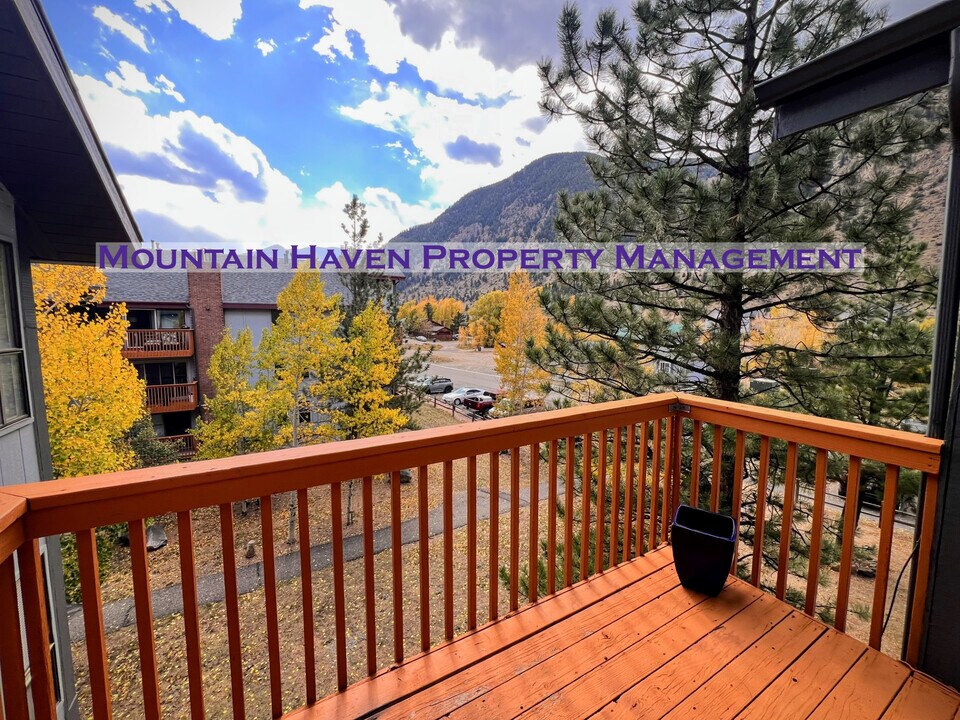 1901 Clear Creek Dr in Georgetown, CO - Building Photo