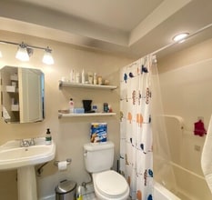 317 Saint Paul St, Unit 4 in Brookline, MA - Building Photo - Building Photo