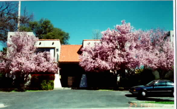 7809 Sayonara Dr in Citrus Heights, CA - Building Photo - Building Photo