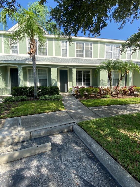 11541 Declaration Dr in Tampa, FL - Building Photo - Building Photo