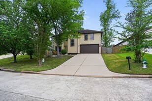 4313 Windswept Dr in Montgomery, TX - Building Photo