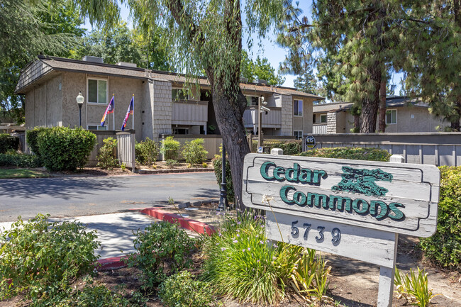 Cedar Commons in Fresno, CA - Foto de edificio - Building Photo