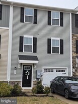 503 Williams St in Strasburg, VA - Building Photo