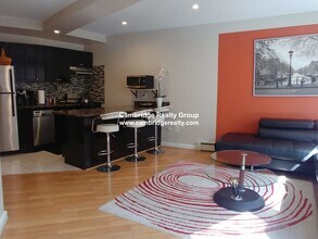 516 Green, Unit 1B in Cambridge, MA - Building Photo - Building Photo