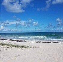 4100 N Hwy A1A in Fort Pierce, FL - Building Photo