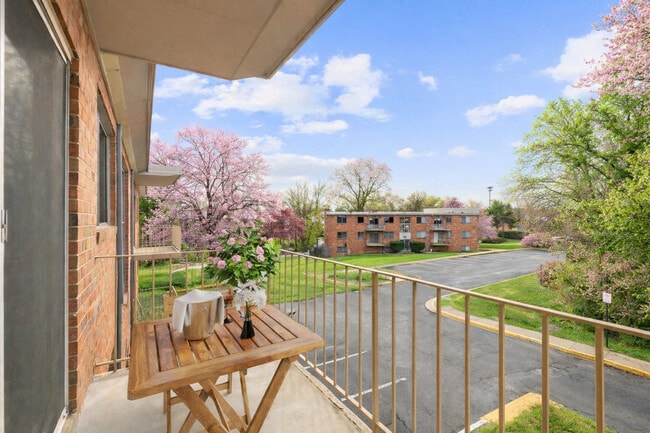 International Apartments in Herndon, VA - Foto de edificio - Building Photo
