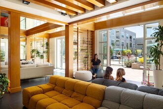 Madera in Mountain View, CA - Building Photo - Building Photo