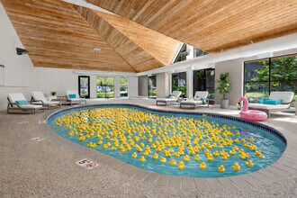 Pebble Creek North Apartments in Brooklyn Park, MN - Building Photo - Building Photo