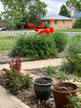 5735 Everett St in Arvada, CO - Foto de edificio - Building Photo