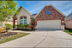 75 Tapestry Forest Pl in The Woodlands, TX - Building Photo