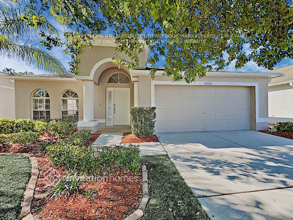 31010 Baclan Dr in Wesley Chapel, FL - Building Photo