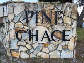 2031 Pine Chace Ct in Tampa, FL - Building Photo