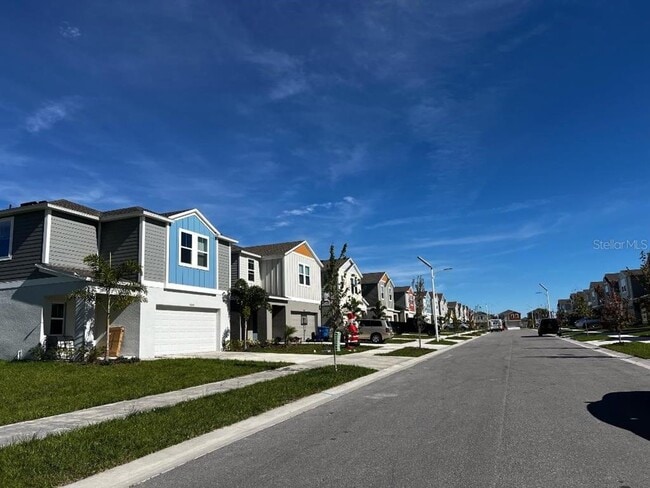 34200 Scarlet Sage Ct in Wesley Chapel, FL - Building Photo - Building Photo