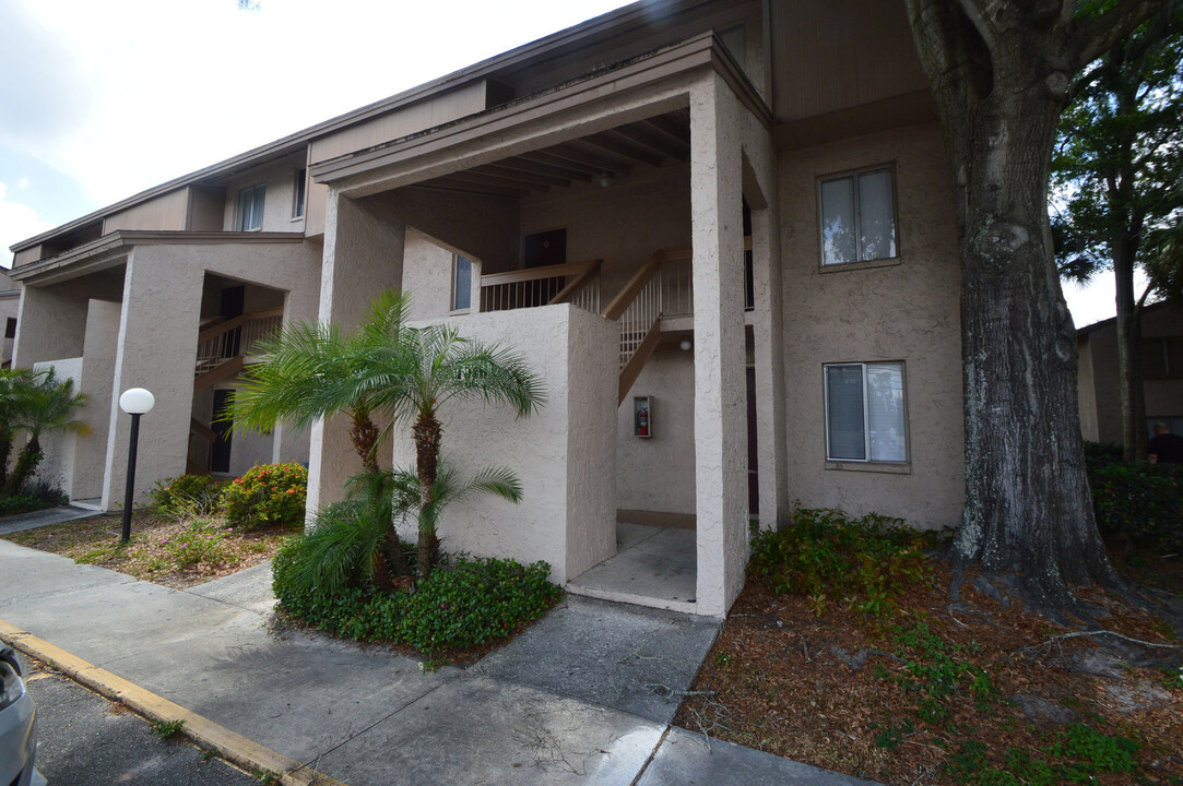 7510 Needle Leaf Pl in Tampa, FL - Foto de edificio