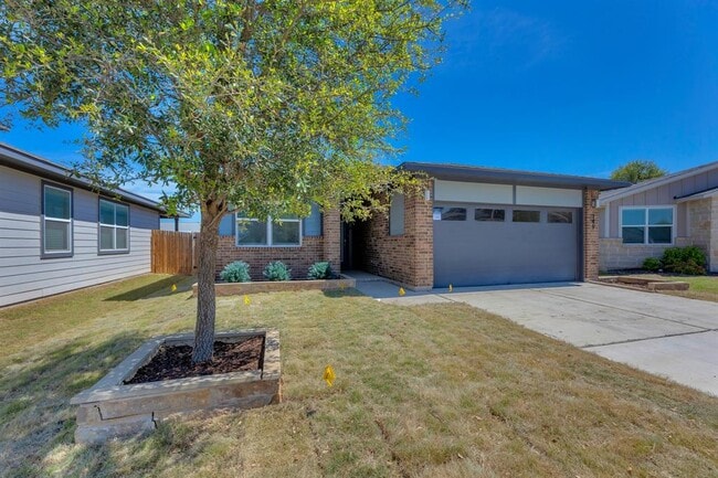 149 Filifera Ct in Leander, TX - Building Photo - Building Photo