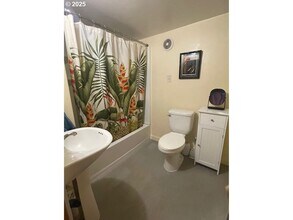 239 D St in Springfield, OR - Building Photo - Building Photo