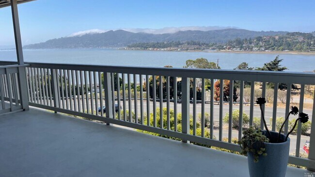 18 Janet Way in Tiburon, CA - Building Photo - Building Photo