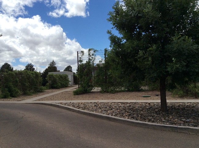 Lo Lomas Apartments in Clovis, NM - Foto de edificio - Building Photo