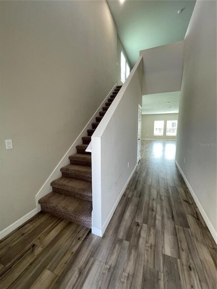 34126 Scarlet Sage Ct in Wesley Chapel, FL - Foto de edificio - Building Photo