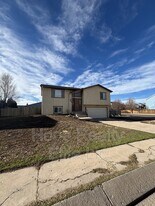 902 Rancher Dr in Fountain, CO - Building Photo