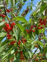 22 Princeway Dr in Toronto, ON - Building Photo - Building Photo