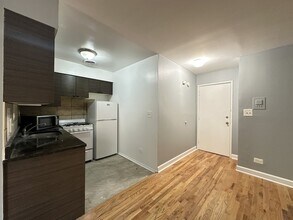 1515 W Morse Ave in Chicago, IL - Building Photo - Building Photo