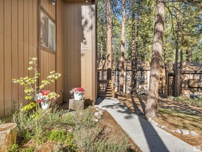 167 Holly Ln in Stateline, NV - Building Photo - Building Photo