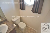 1253 W Bridalwood Loop photo'