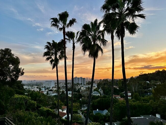 property at 1999 N Sycamore Ave