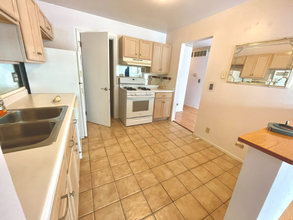 219 Hawthorne Ct in Schaumburg, IL - Building Photo - Building Photo