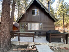 344 W Aeroplane Blvd in Big Bear, CA - Building Photo