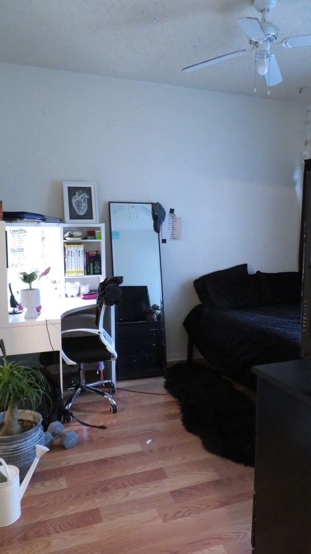 1910 Robbins Pl in Austin, TX - Foto de edificio - Building Photo